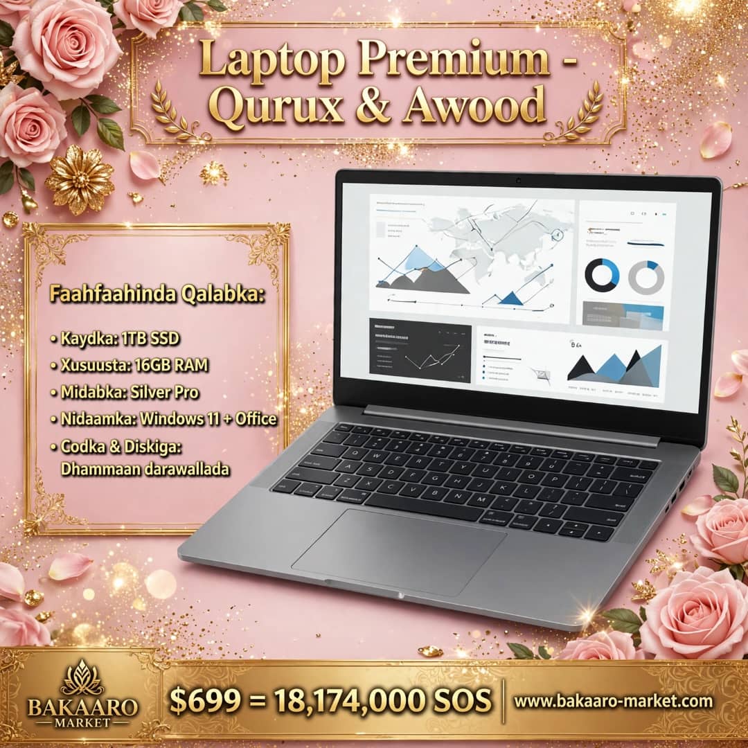 Laptop Silver Pro 16GB RAM 1TB SSD, qiime 18,174,000 SOS